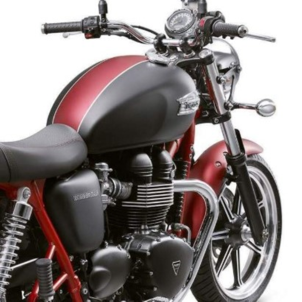 Triumph Matt Cranberry (code CC) Paint Product